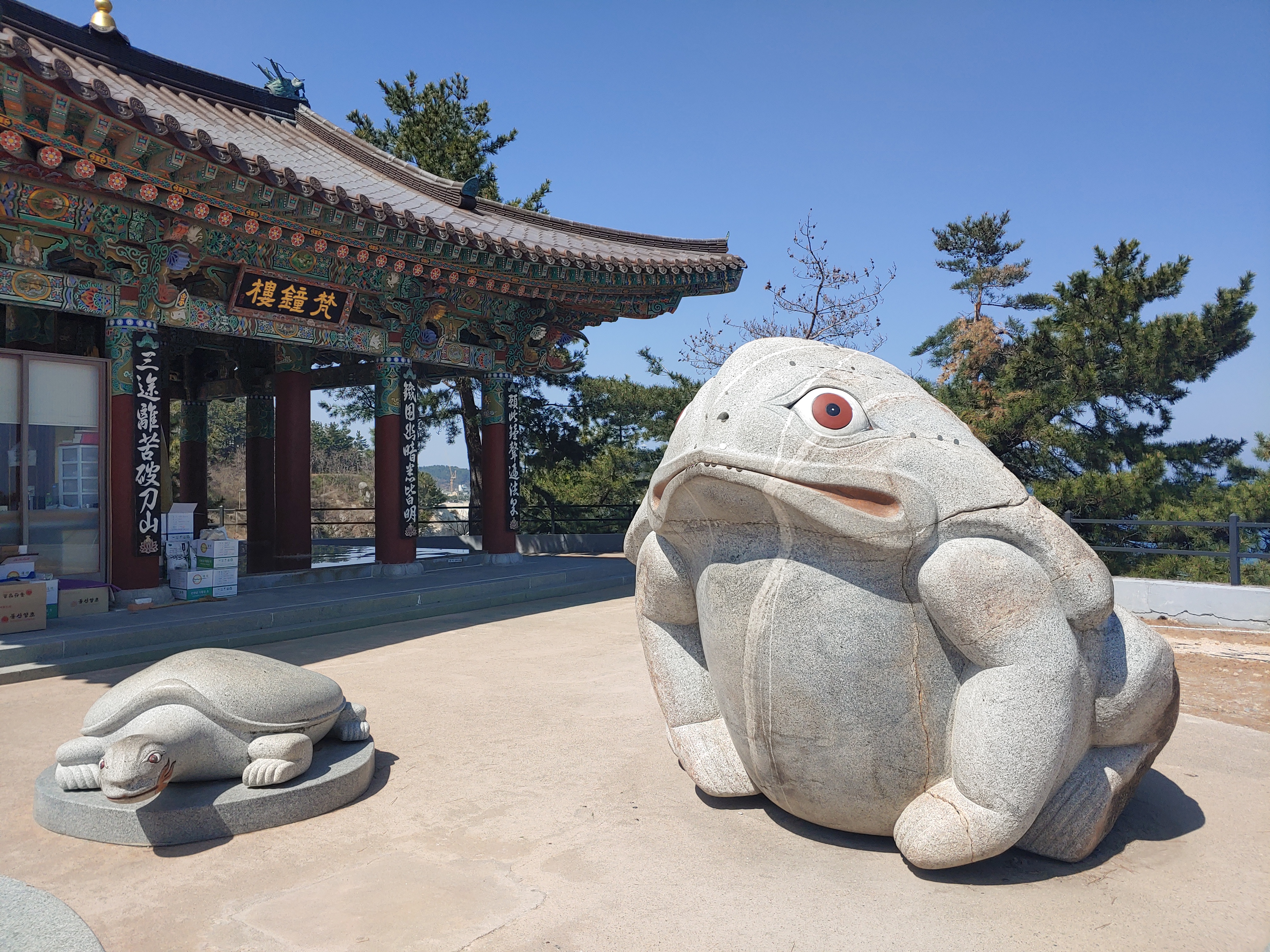 거북바위와 해안 암초, 해식 지형의 재미.